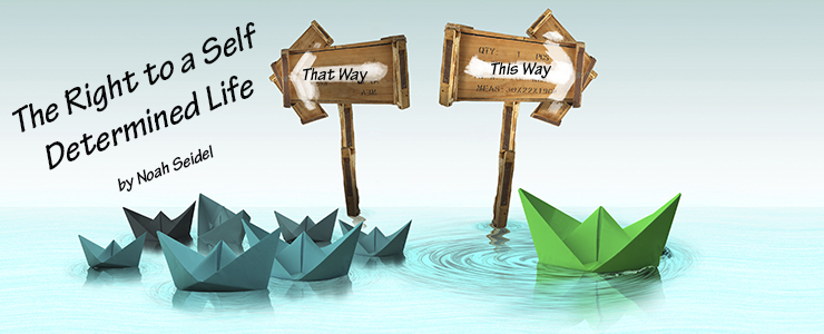 The Roght to a Self Determined Life by Noah Seidel