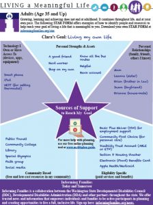 Thumbnail image of the first page of the pamplet, featuring a star form to identify supports for the middle years.
